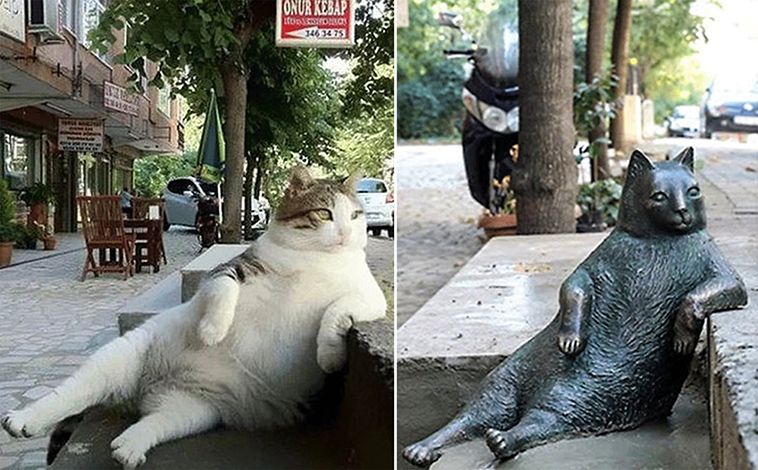 tombili istanbul cat statue