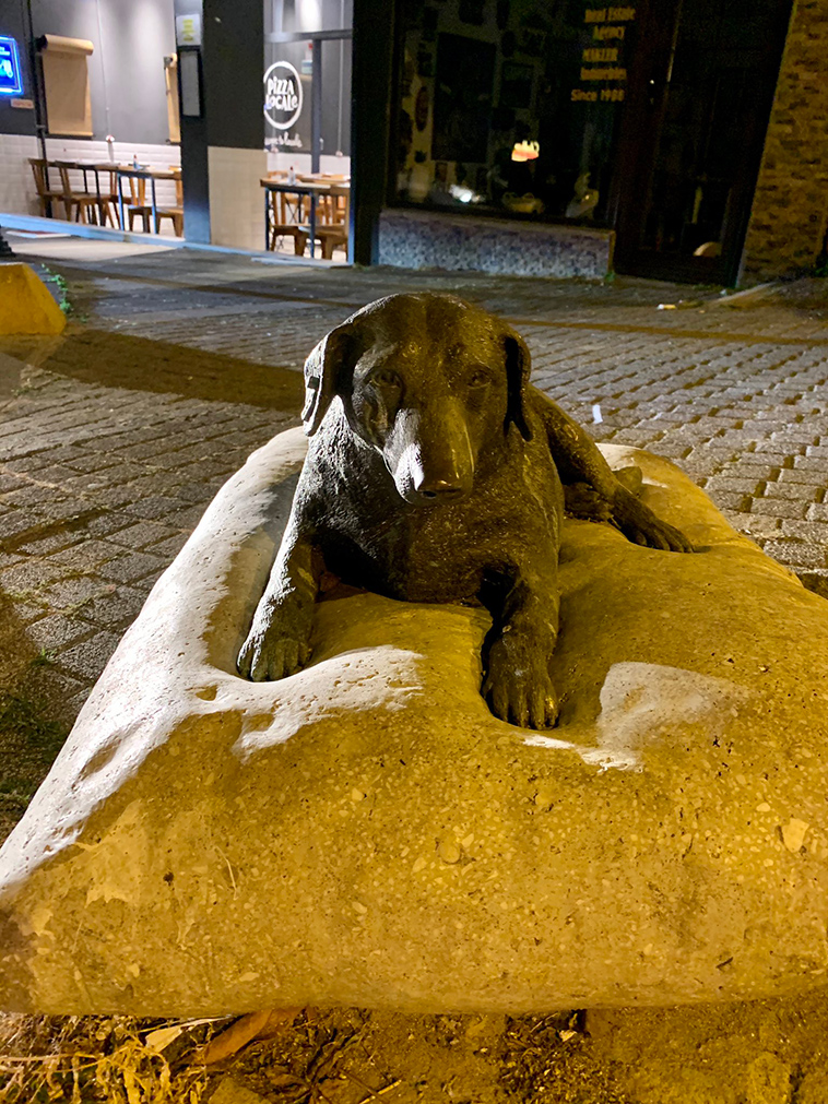 istanbul dog statue