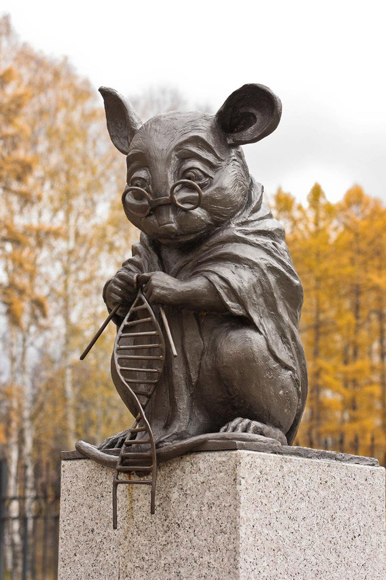 Mouse Knitting a DNA Double Helix in Russia