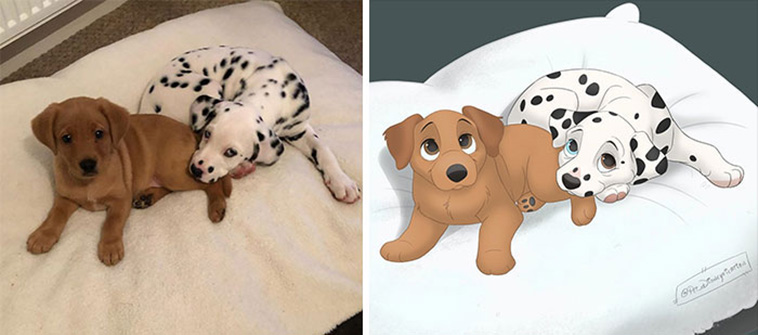 disney pets