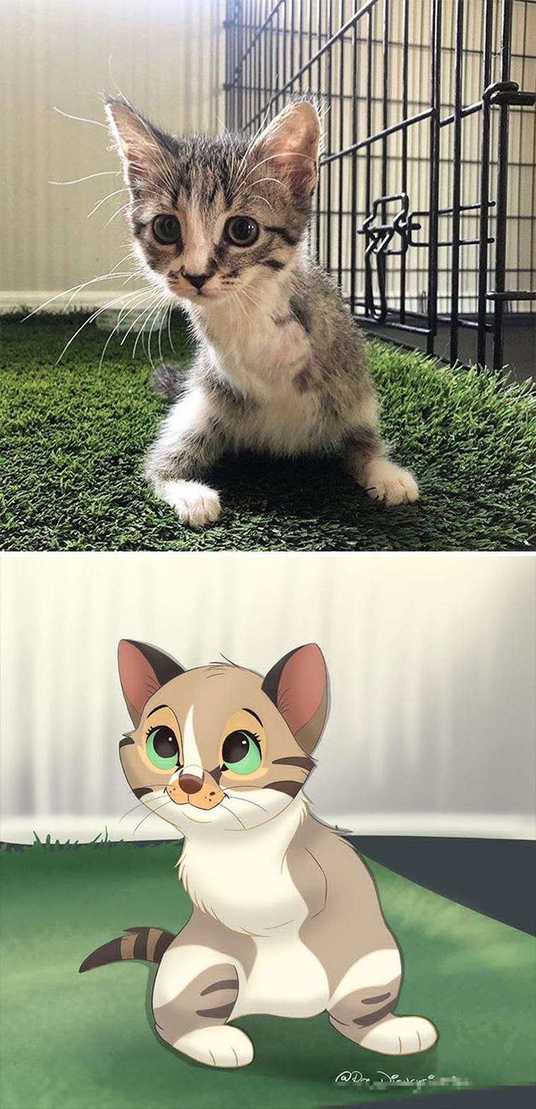 disney pets