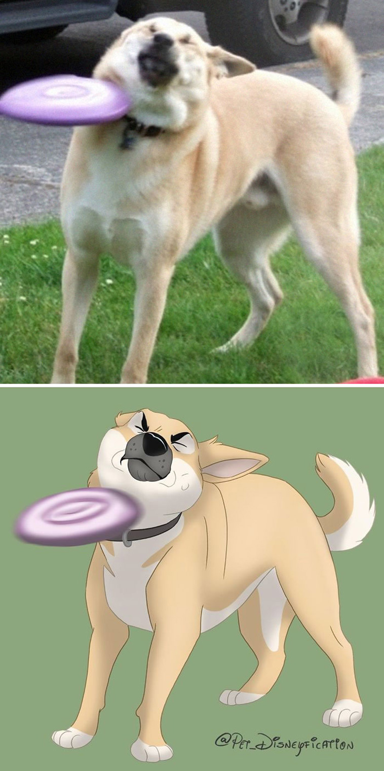 disney pets