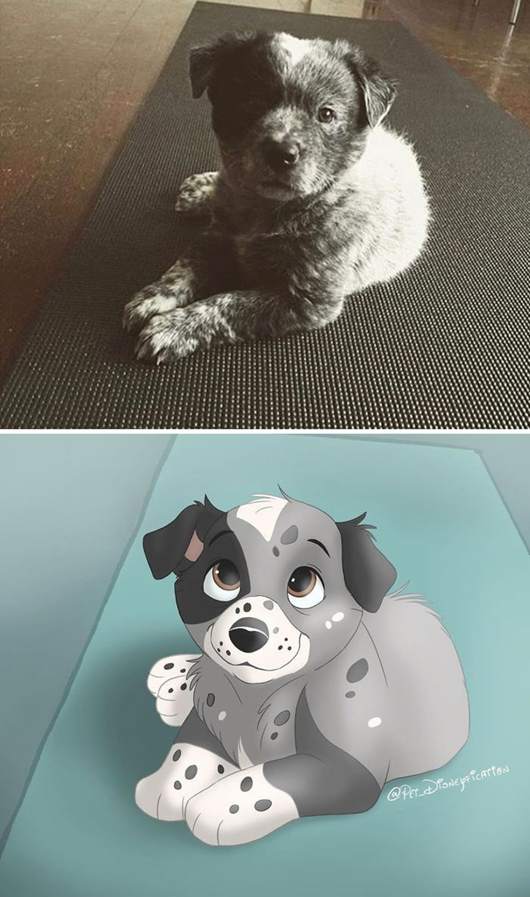 disney pets