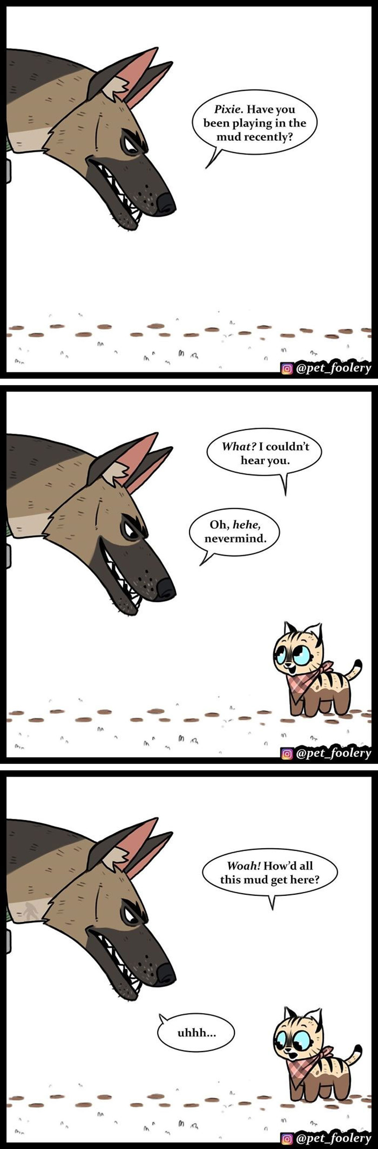 animals comics