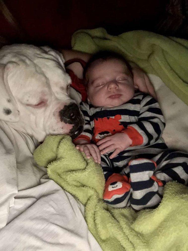 boy sleep with dog