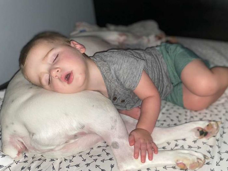 boy sleep with dog