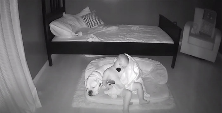 boy sleep with dog