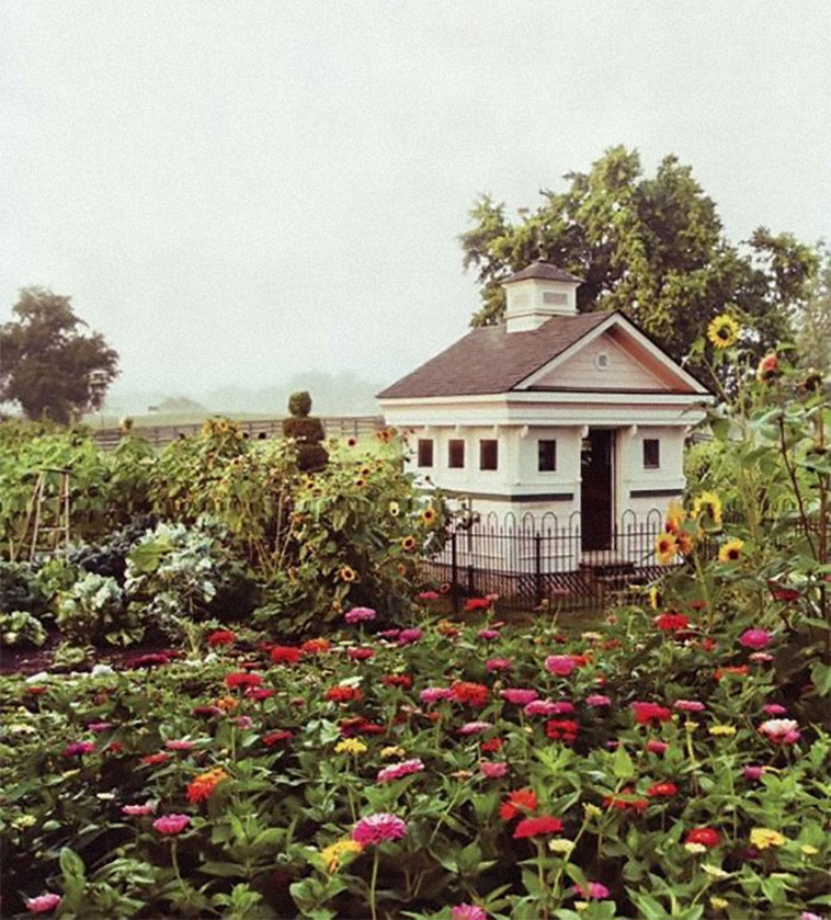 creative chicken coops designs
