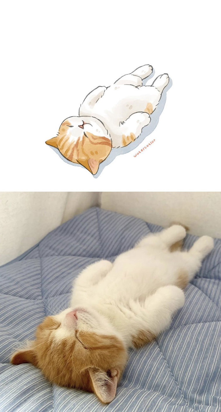 digital watercolor cats