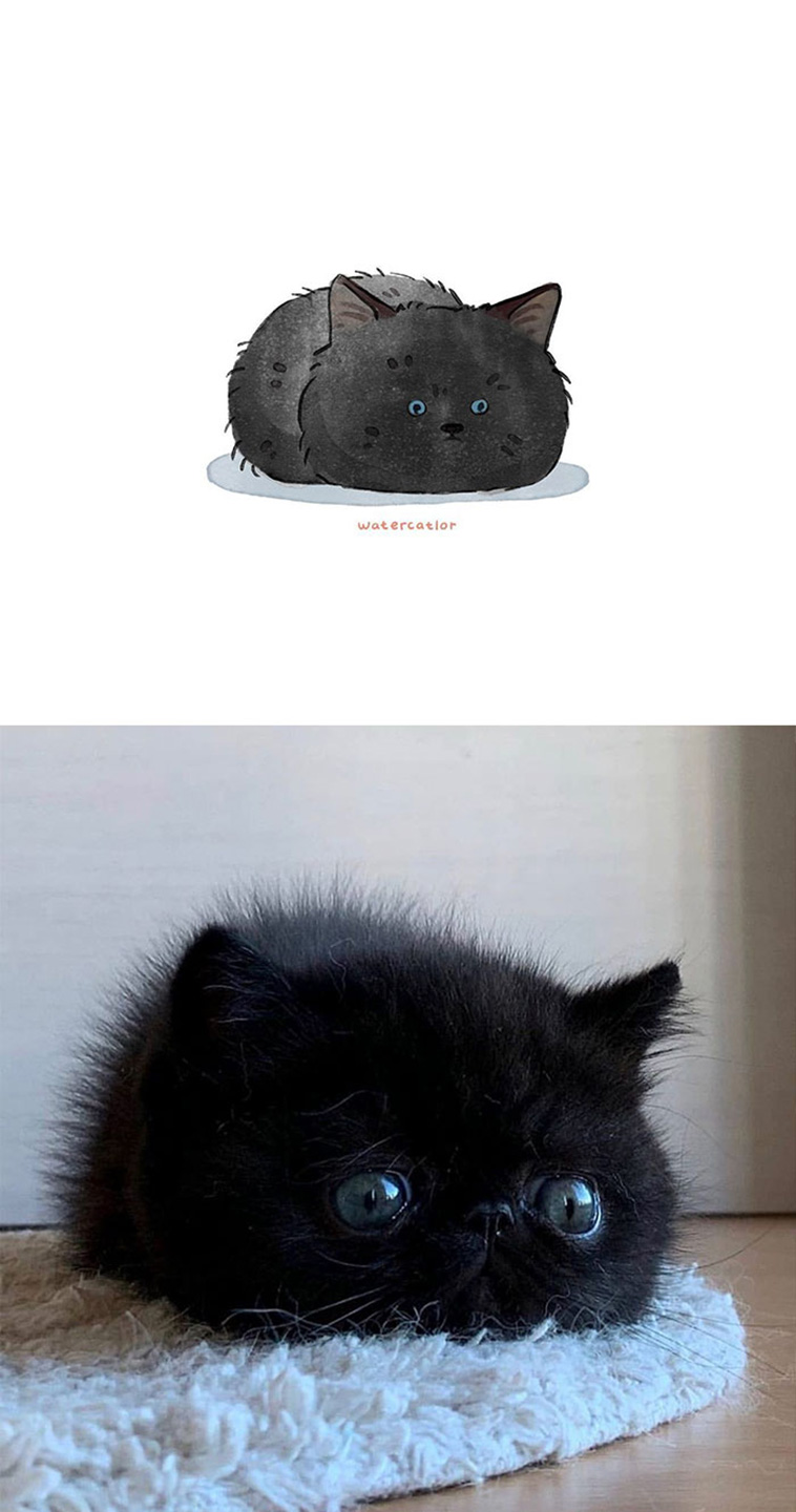 digital watercolor cats