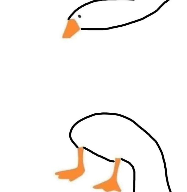 Drawing Duck