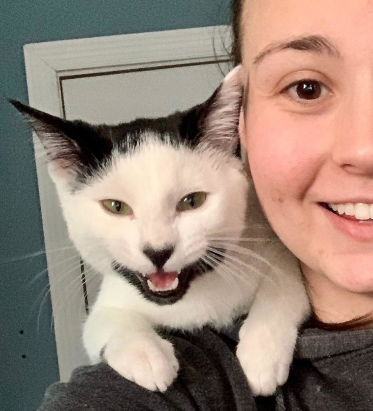 funny cat teeth