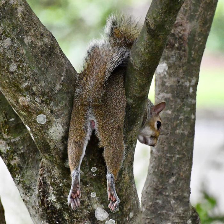 funny crap wildlife photos