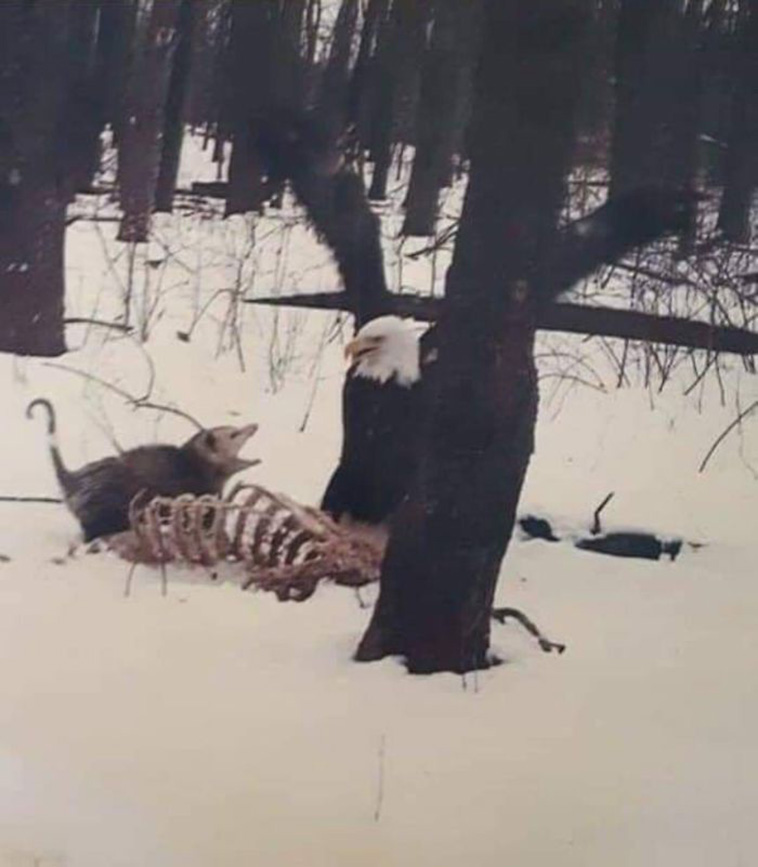 creepy nature