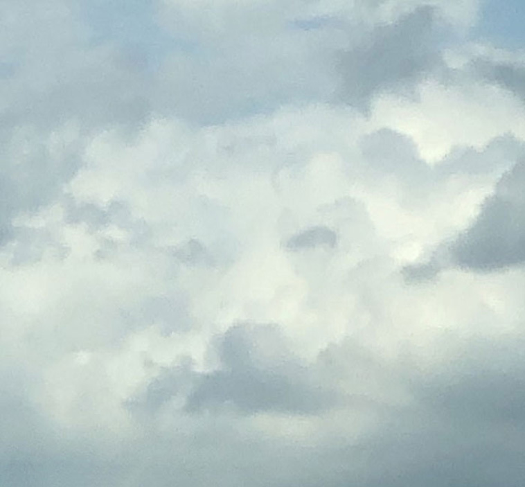 dog face in cloud