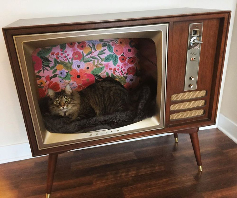 retro tv cat beds 