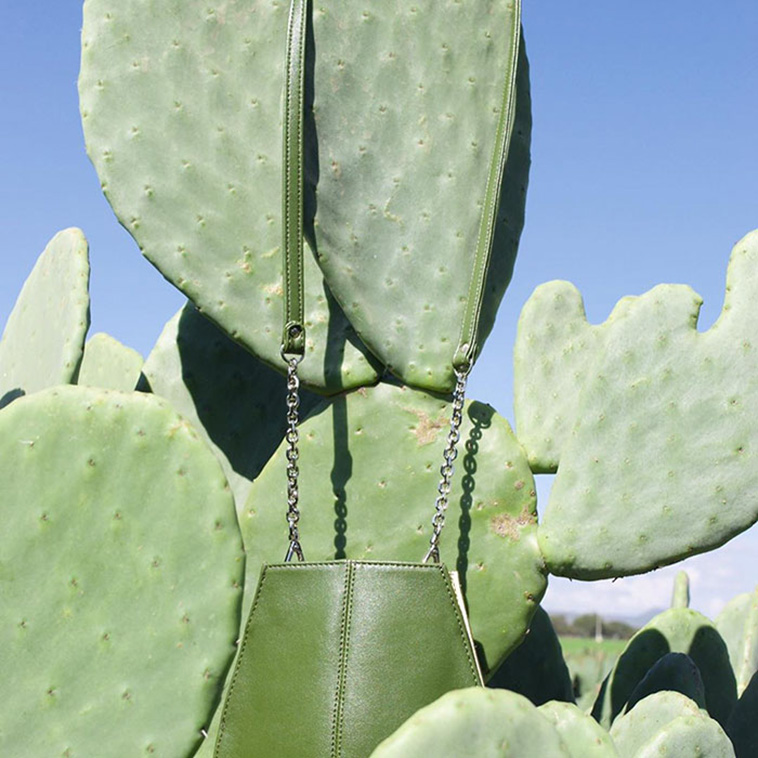 cactus leather