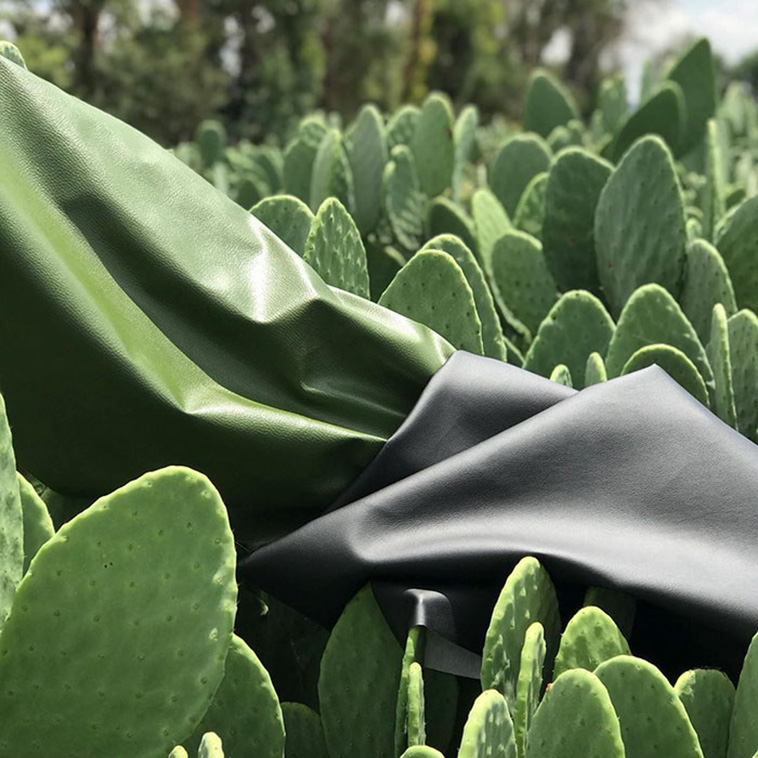 cactus leather