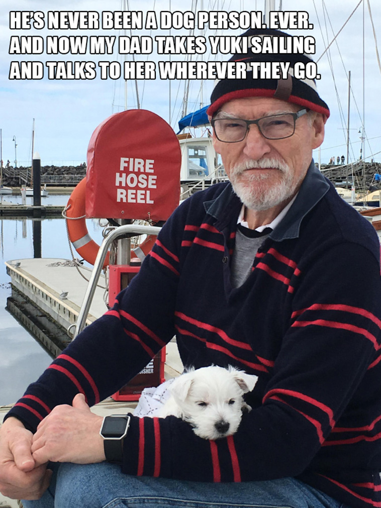 no dog dads