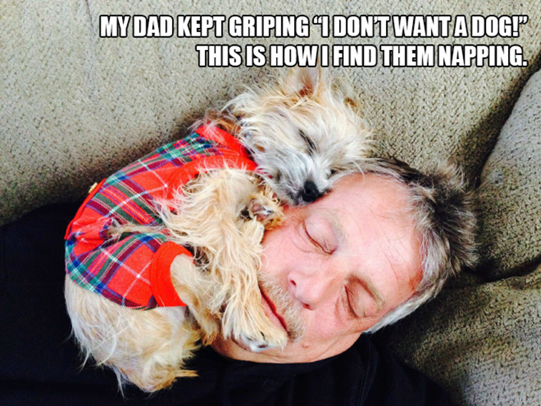 no dog dads