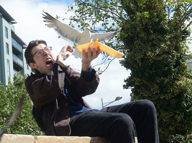 birds jerks