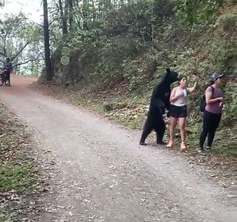 black bear encounter selfie