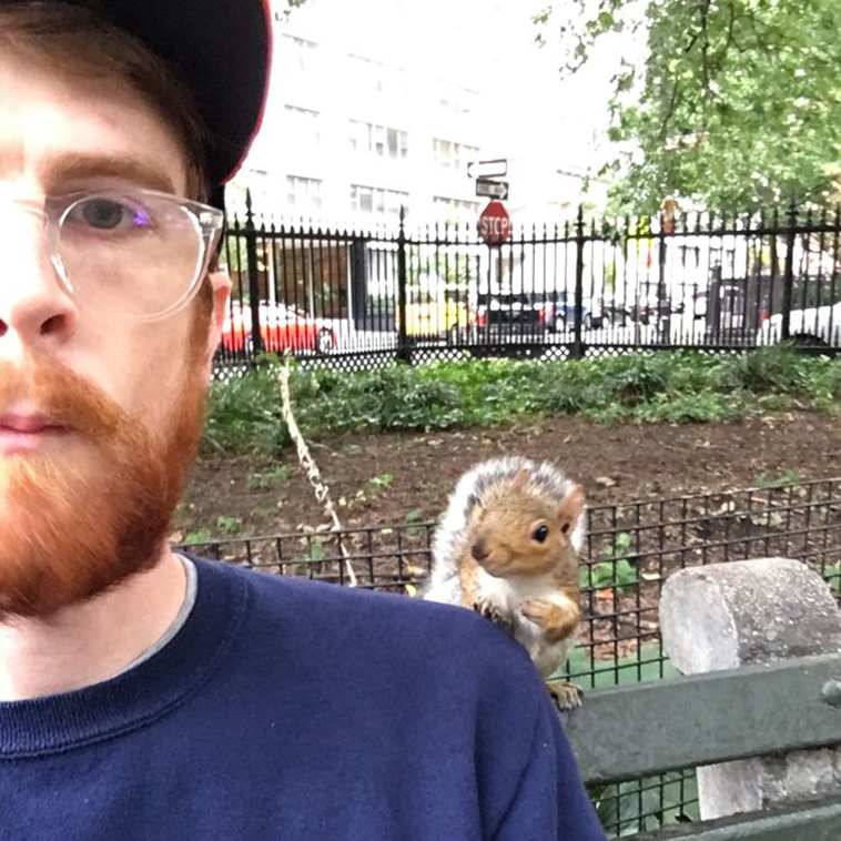  cute squirrel