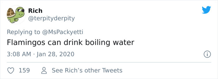 interesting facts on twitter
