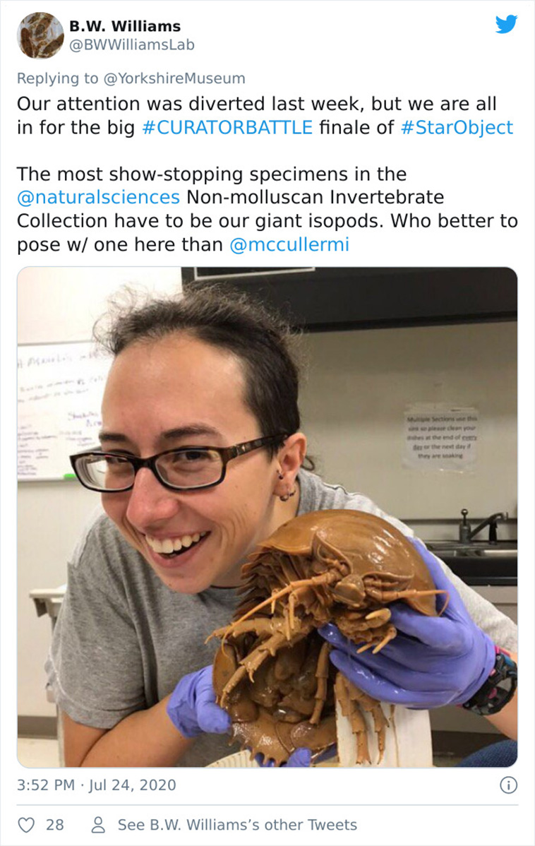 museums compete star object