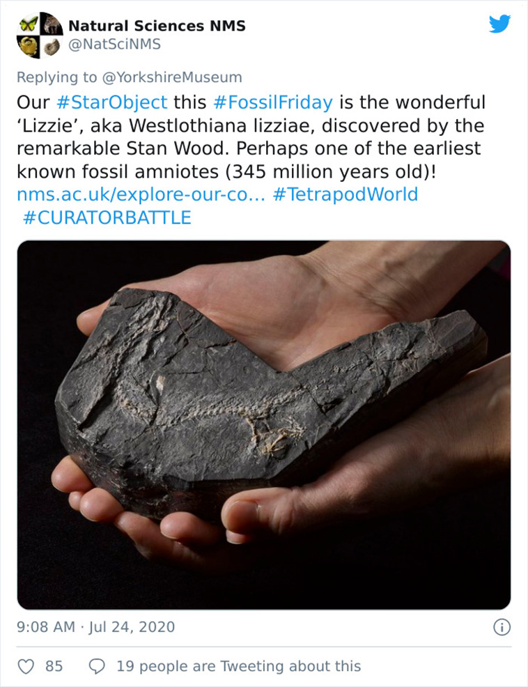 museums compete star object