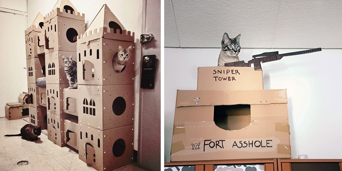 cardboard-forts