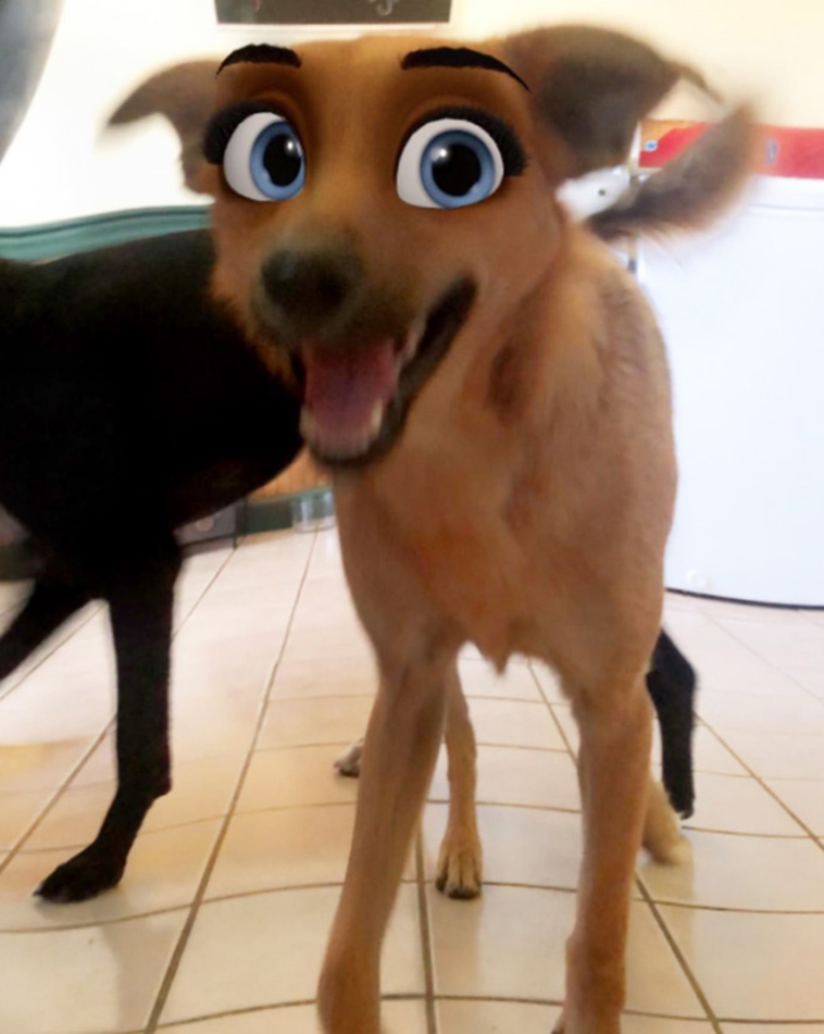 disney eyes 