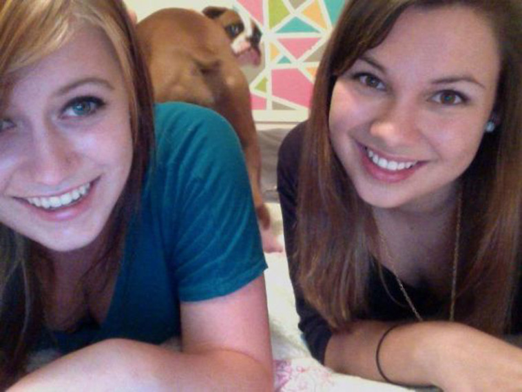 funny dog photobombs