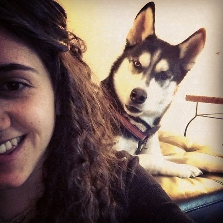 dogs photobombing