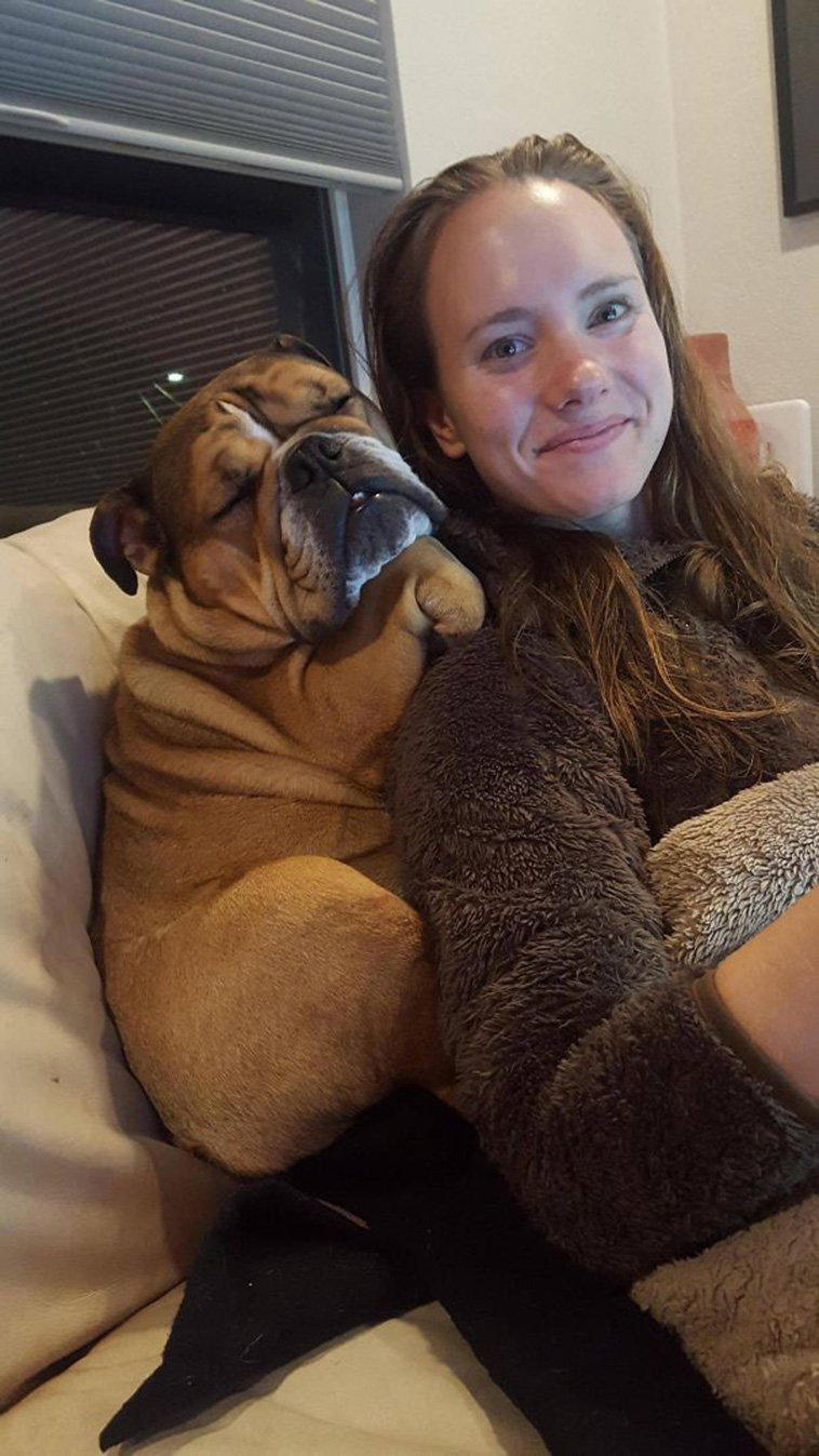funny dogs