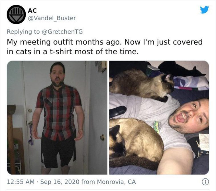  zoom meeting reality