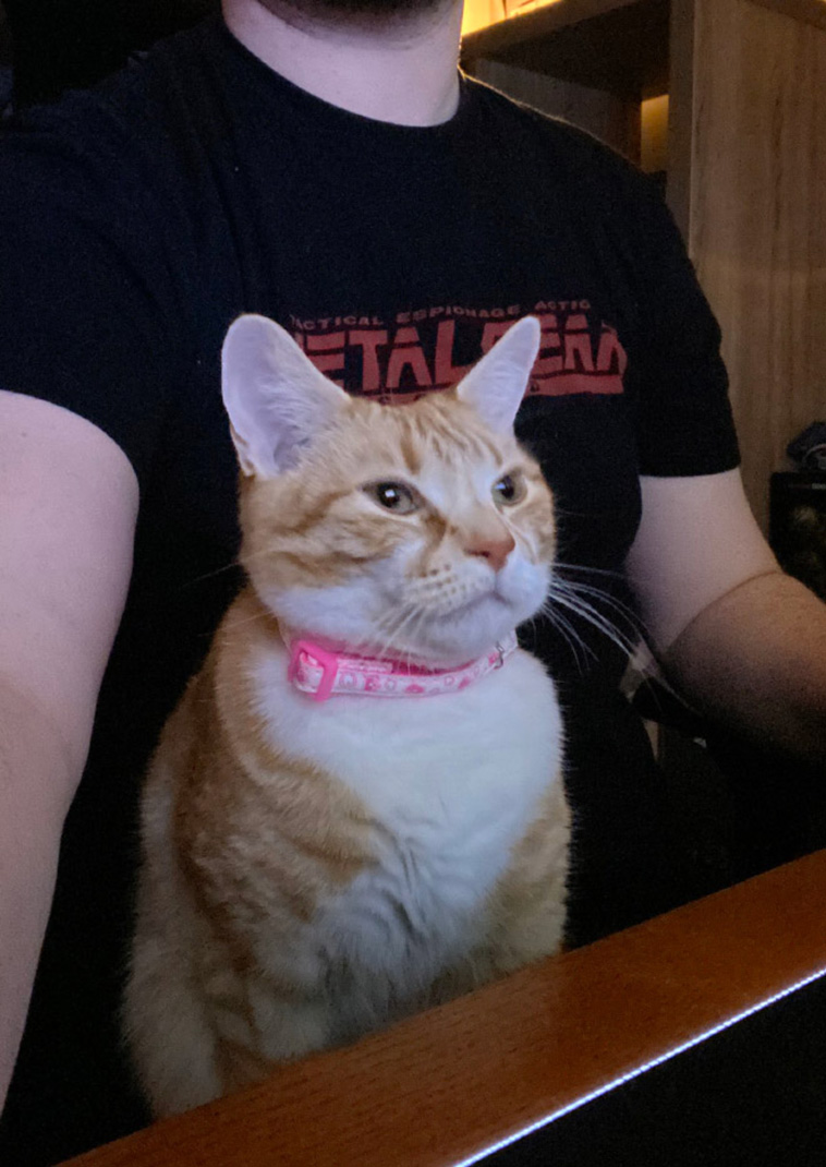 homeoffice with pets