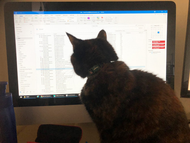 home office with pets