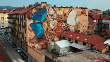 Enormous Butterflies