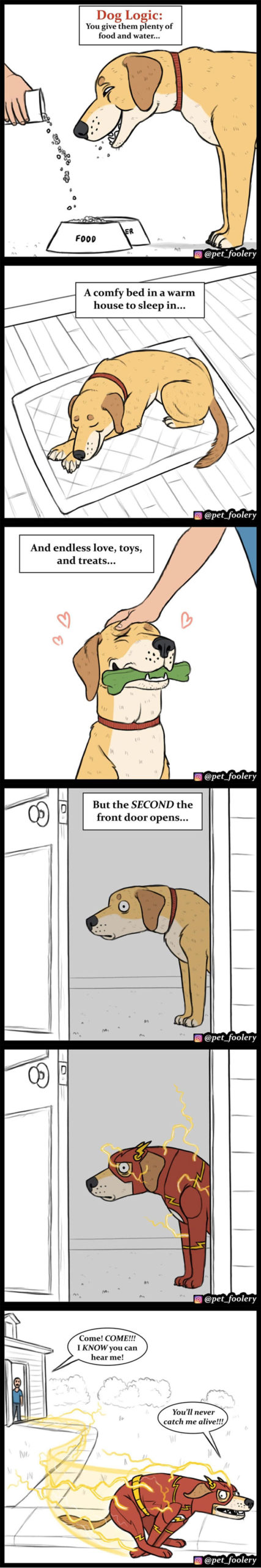 animals comics