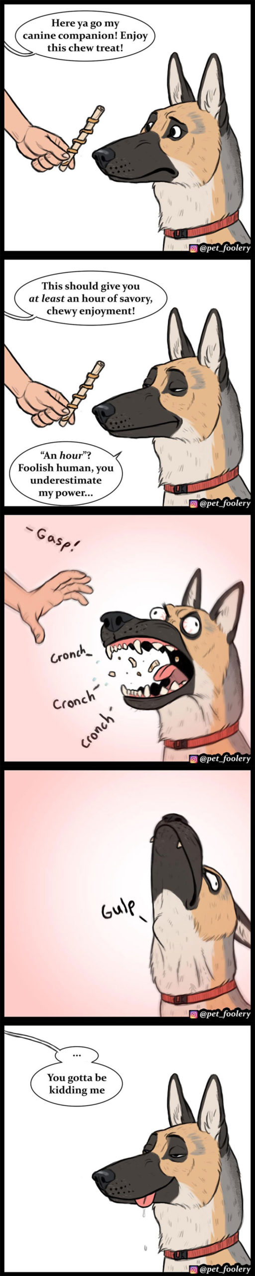 animal comics