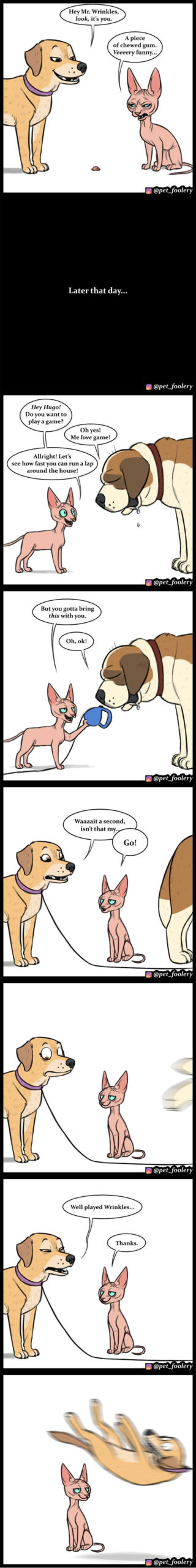 animal comics