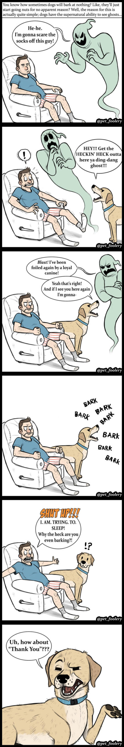 animal comics