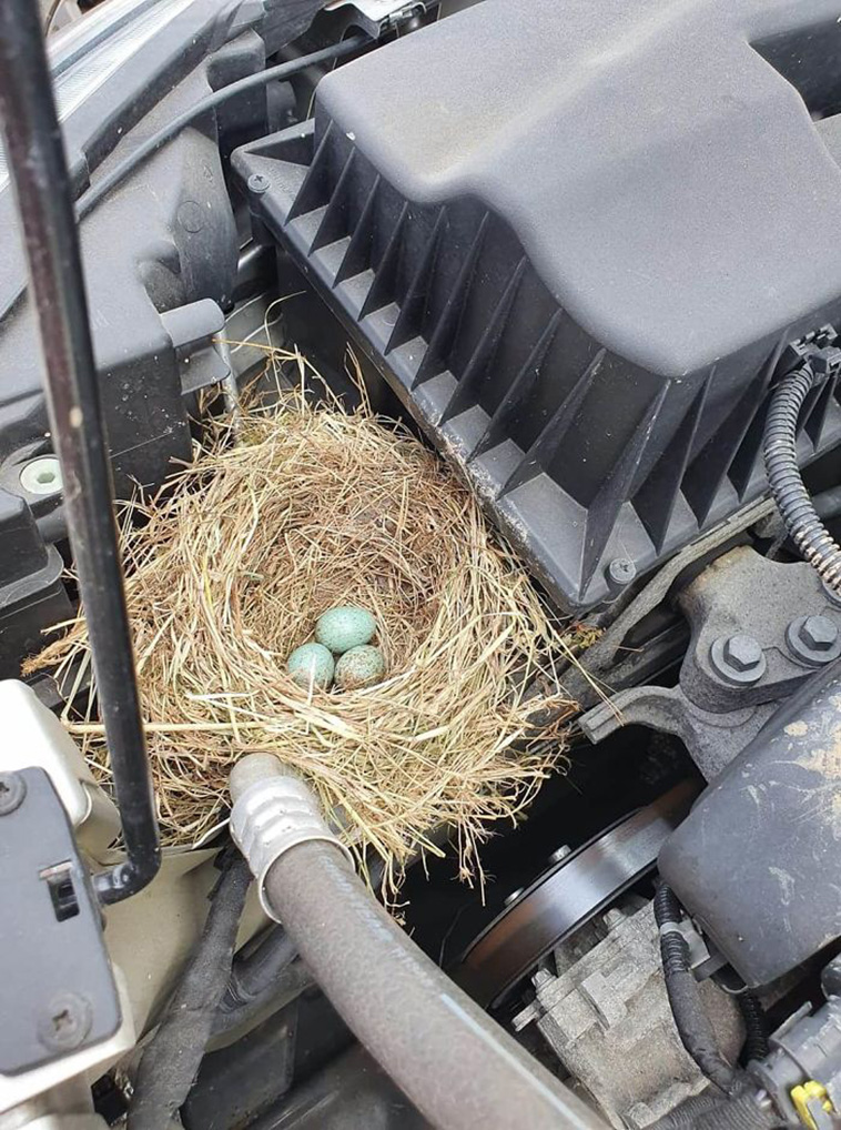 crazy car repairs