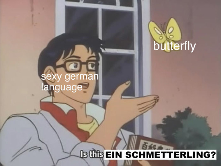 german language jokes