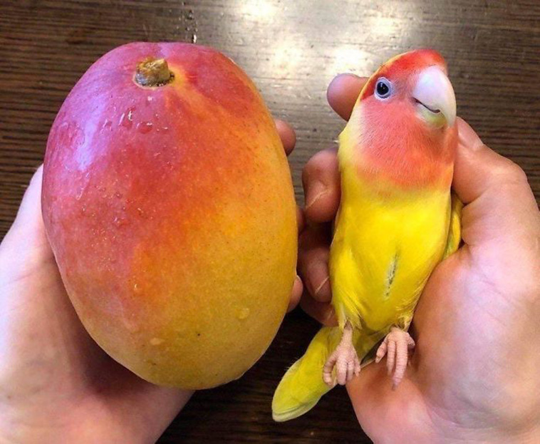  satisfying pictures