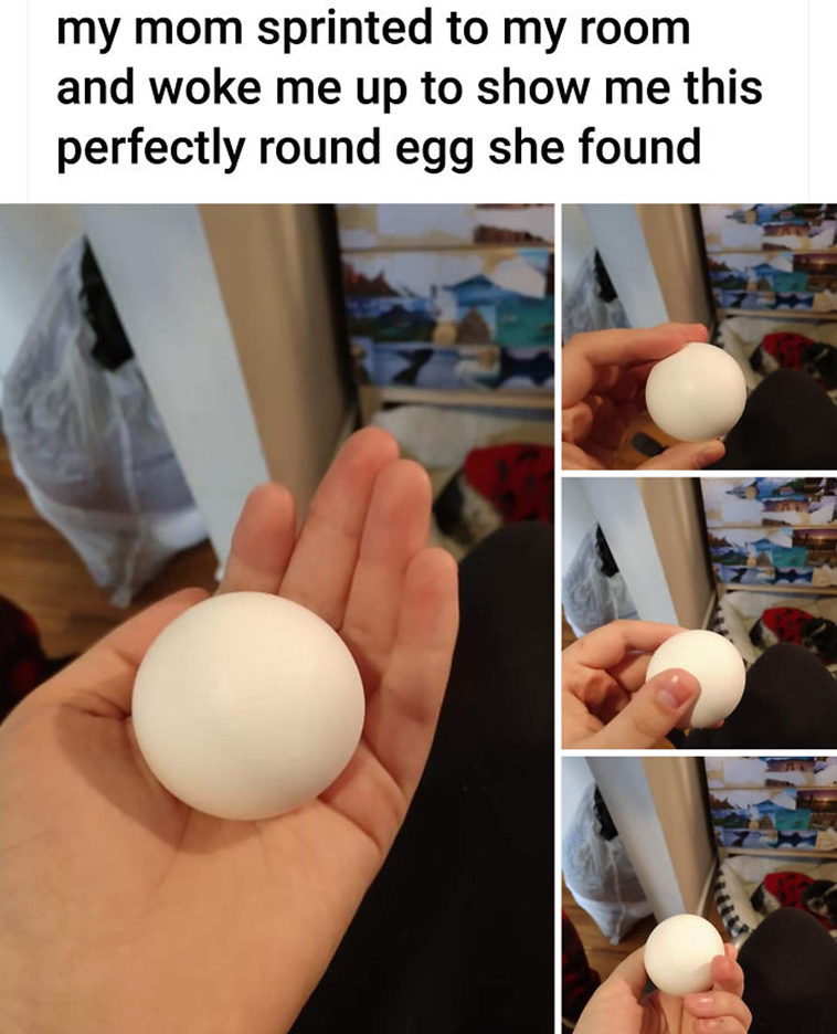 oddly satisfying pictures