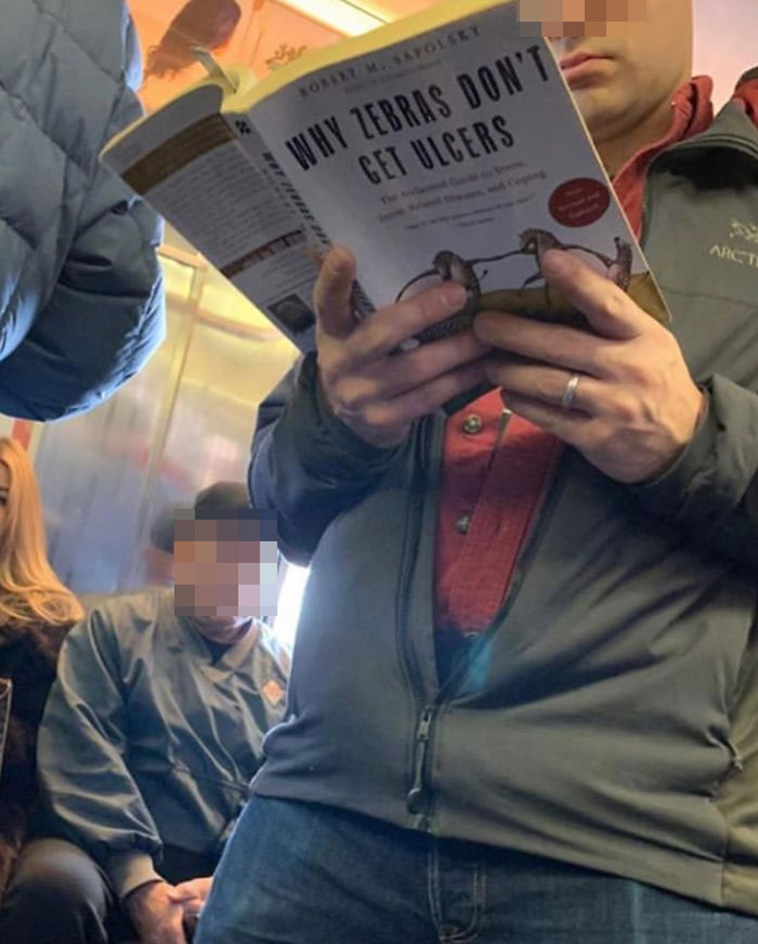 subway book reading
