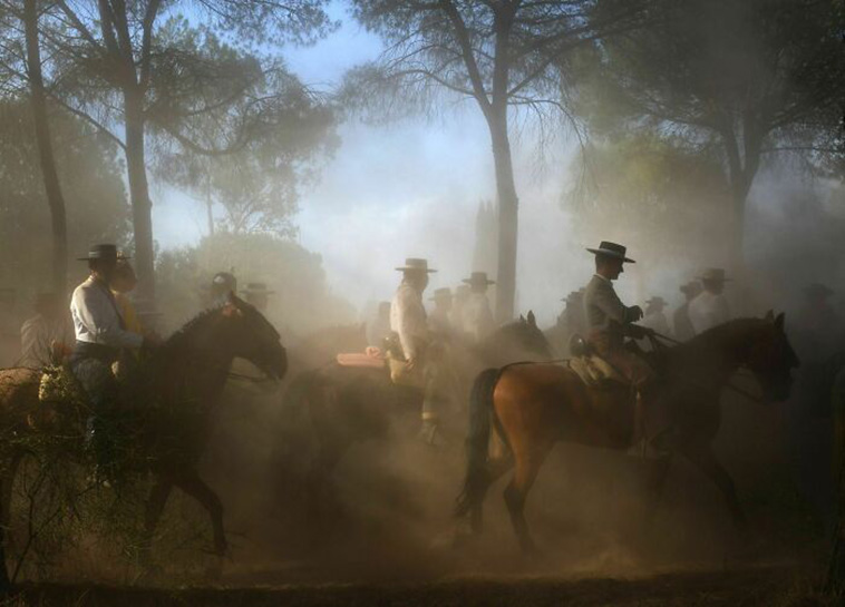 accidental renaissance