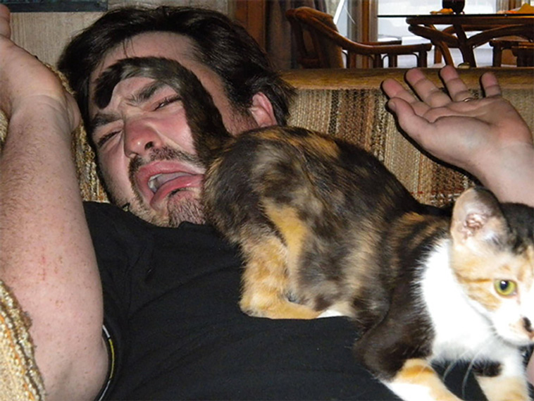 cats are jerks